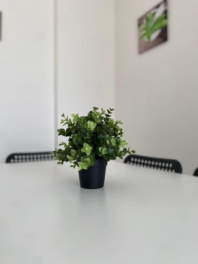 Domus Zagare - Wi-Fi Apartment Baia  ภายนอก รูปภาพ